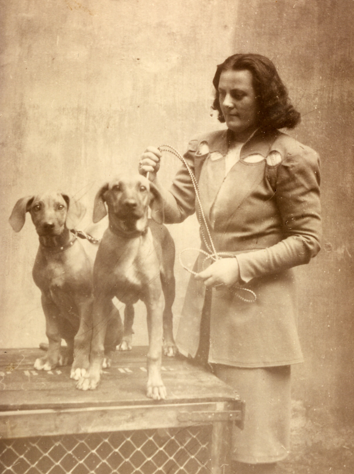 The history of the Rhodesian Ridgeback